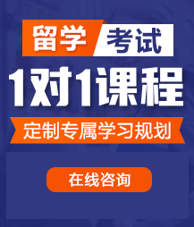 51操逼留学考试一对一精品课